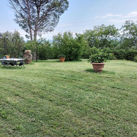 Agriturismo Bellandi Santa Lucia  Ngoại thất bức ảnh