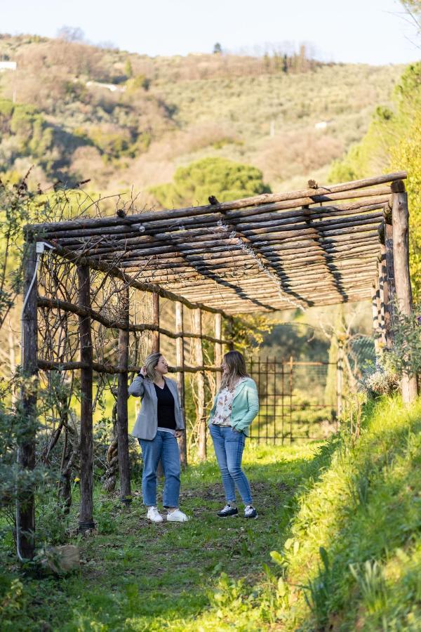 Agriturismo Bellandi Santa Lucia  Ngoại thất bức ảnh