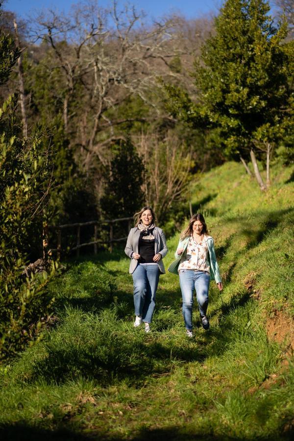 Agriturismo Bellandi Santa Lucia  Ngoại thất bức ảnh