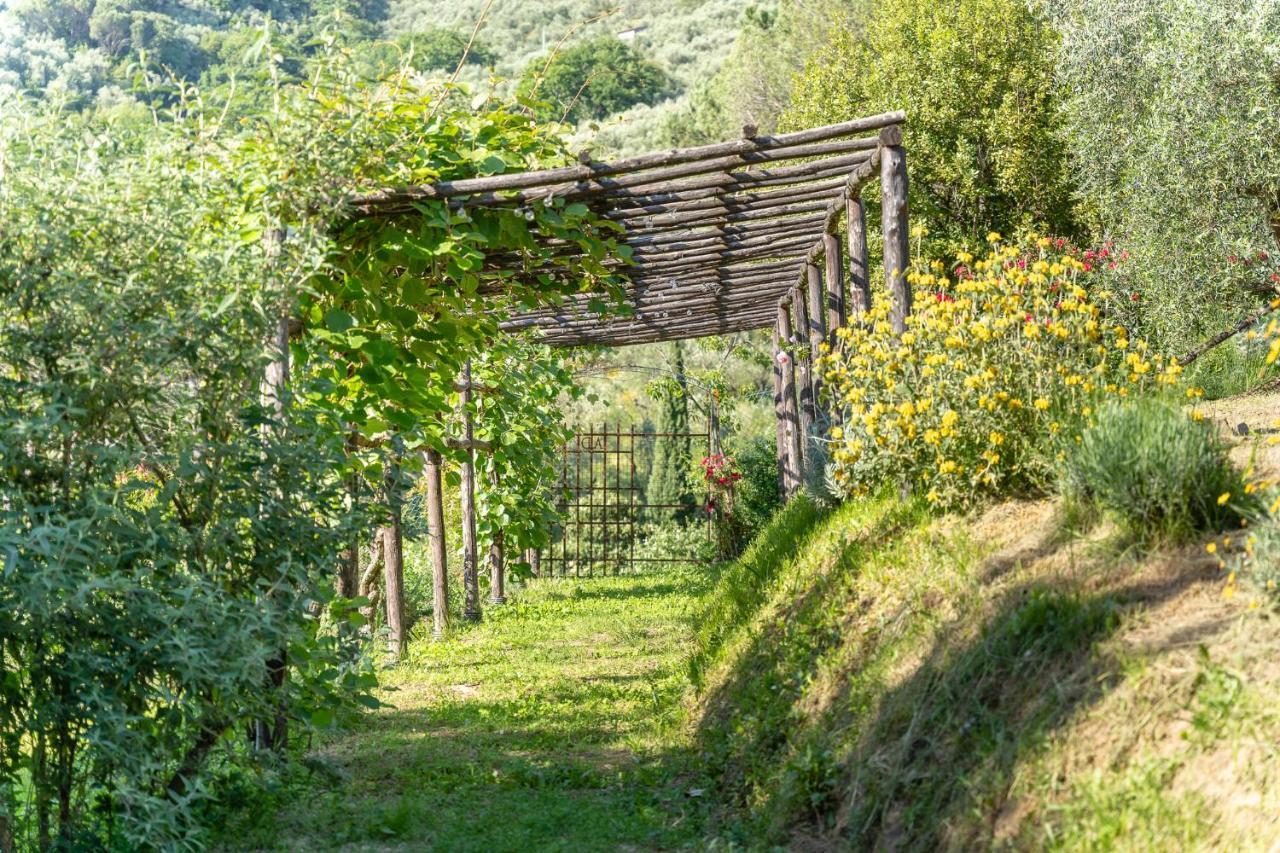 Agriturismo Bellandi Santa Lucia  Ngoại thất bức ảnh