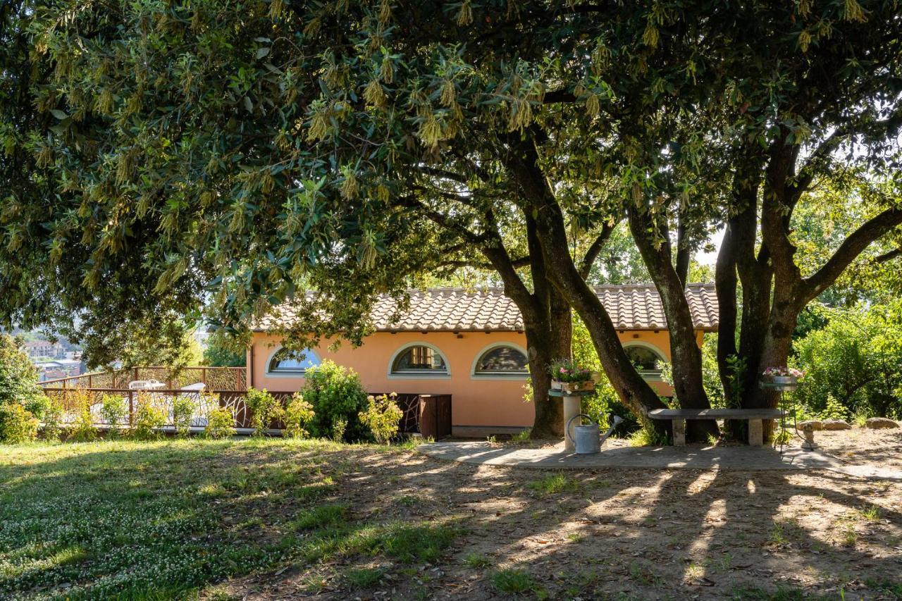 Agriturismo Bellandi Santa Lucia  Ngoại thất bức ảnh
