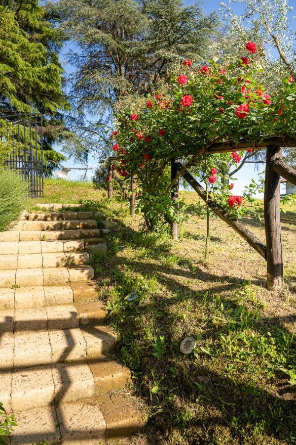 Agriturismo Bellandi Santa Lucia  Ngoại thất bức ảnh